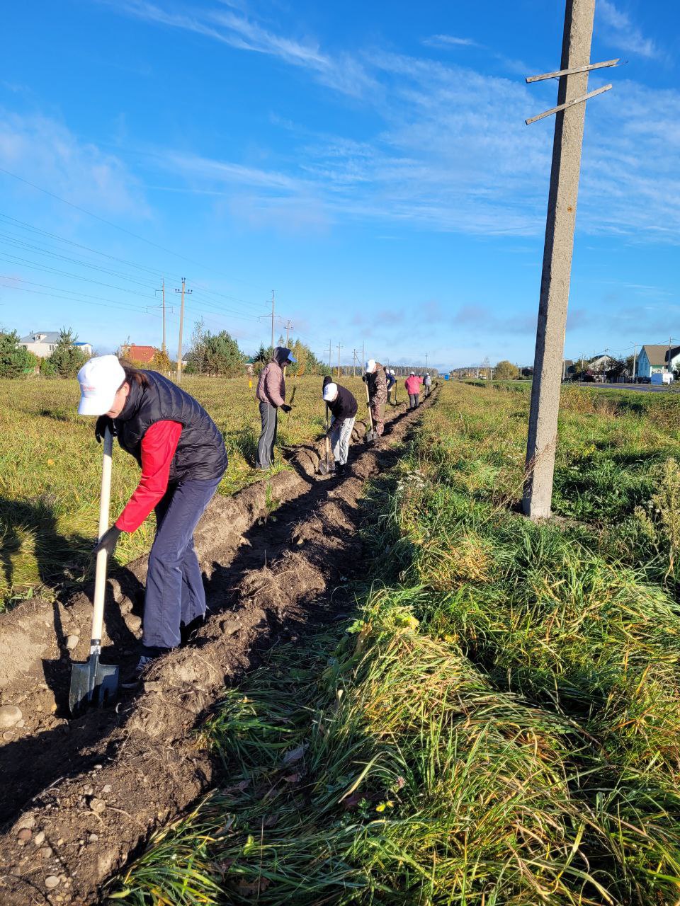 greening-campaign-2025