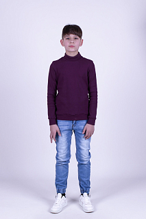 Джемпер для мал.